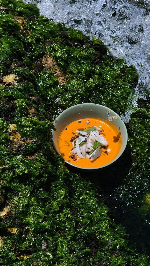 Vietnamese herb soup on a green backdrop