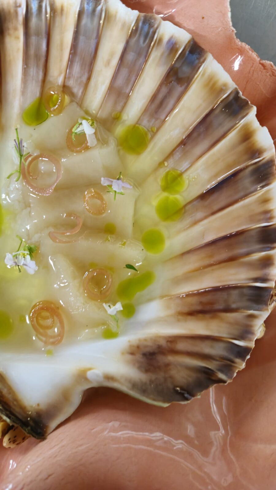 Popup series, Vietnam — guests dining